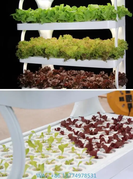 System Flowerpot  PlanterHydroponic Indoor Plant Growth