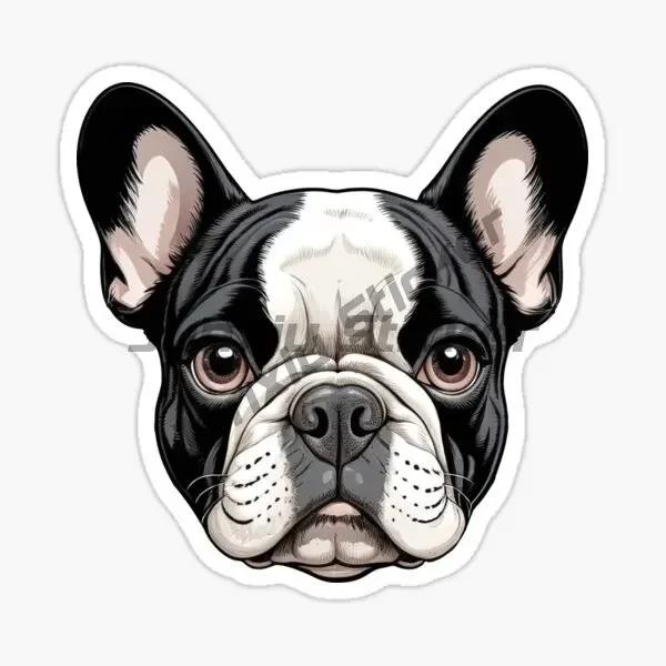 prod_6aa122c13f2fd6.28914664.webp