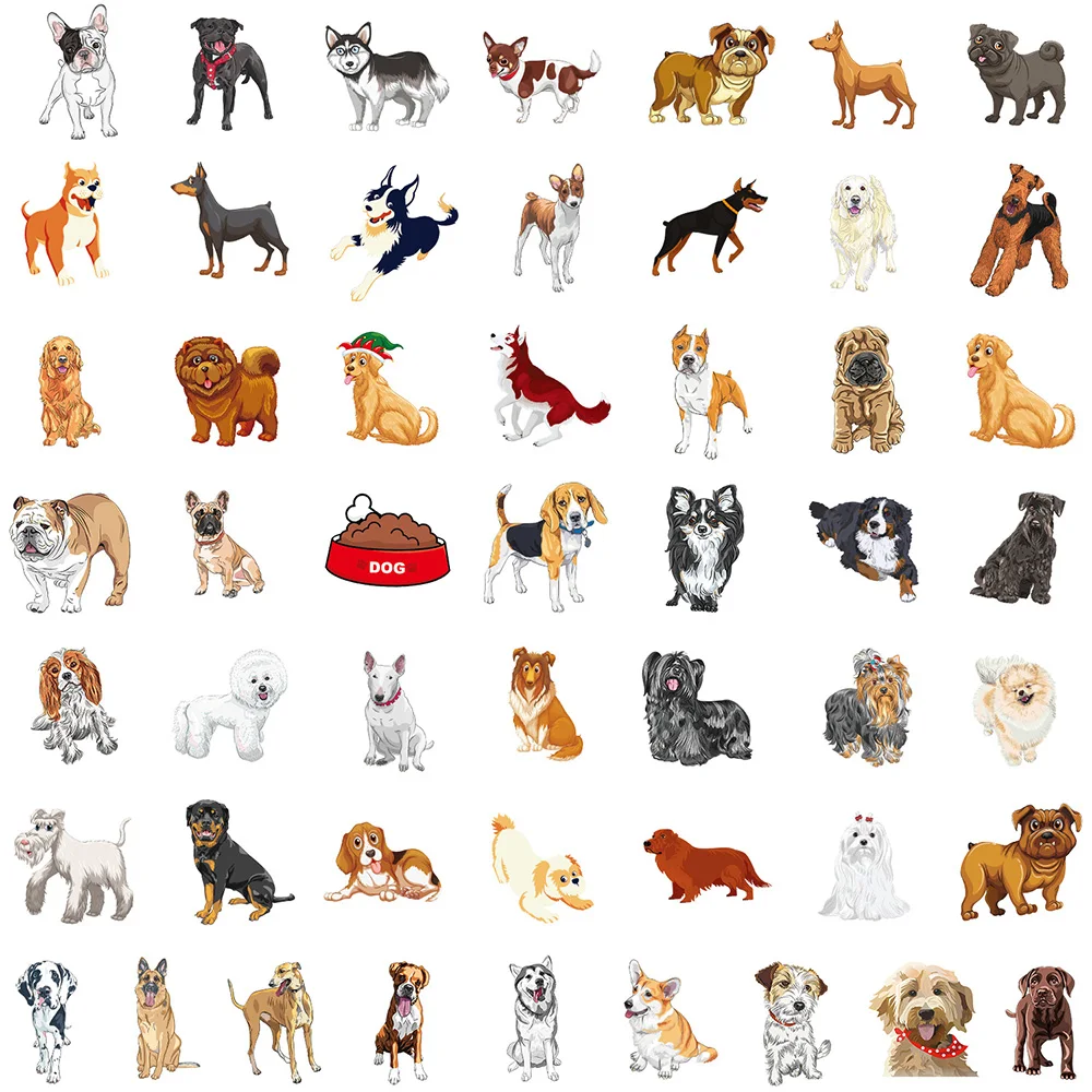 prod_6aa122c9e0e405.54612465.webp