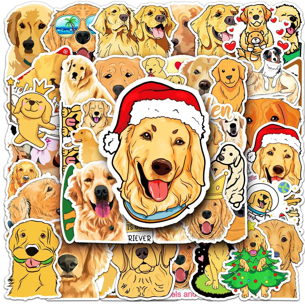 prod_6aa122db4301d7.70973575.webp
