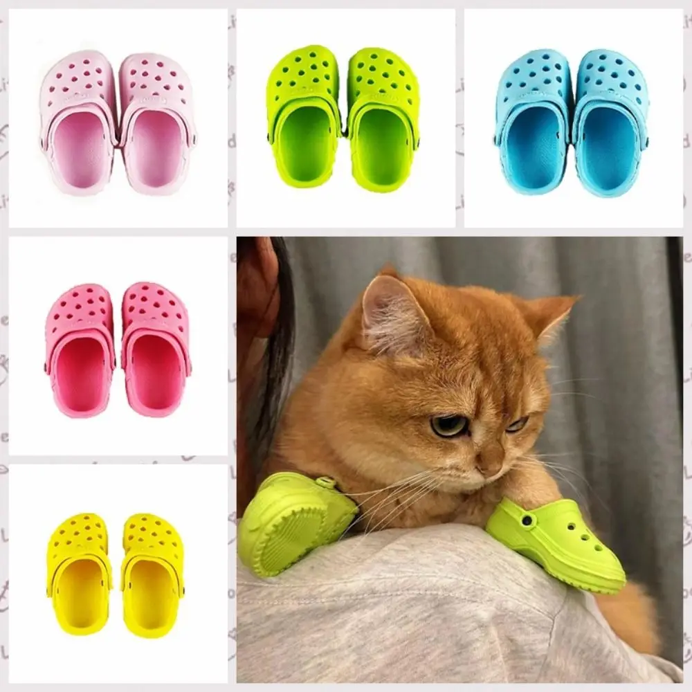 prod_6aa122ffc22be9.49907053.webp