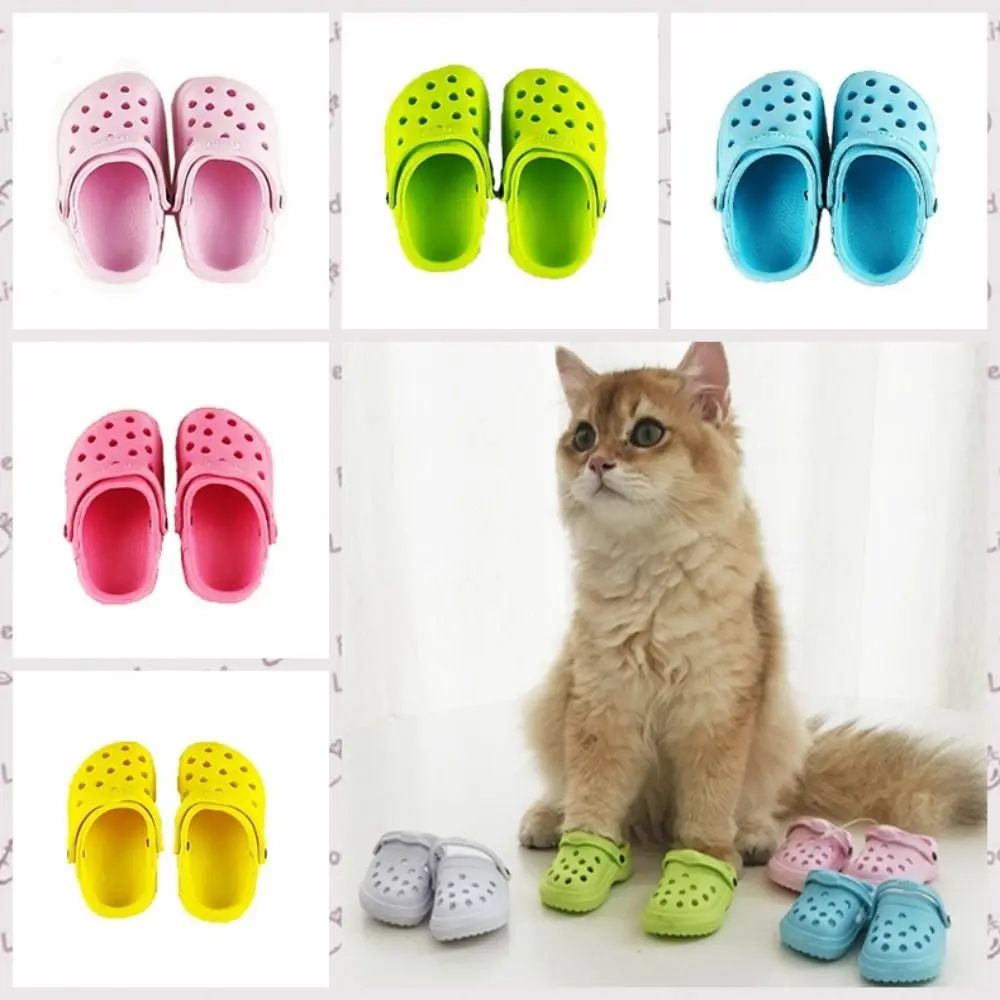 prod_6aa123003bc059.95209448.webp