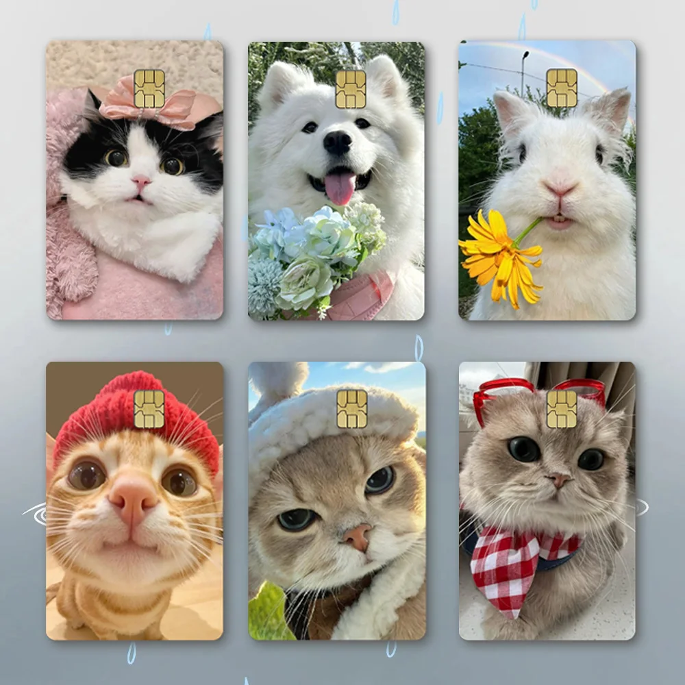 Cute Pet Funny Puppy Cat Rabbit DIY Waterproof Small Chip Debit Sticker Bus Subway Card Sticker PVC Chip Film Sticker Decoration
