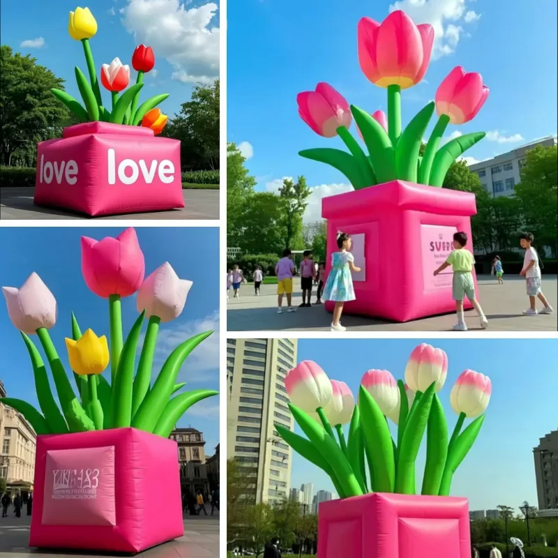prod_6aa12e2f003be3.84072879.webp