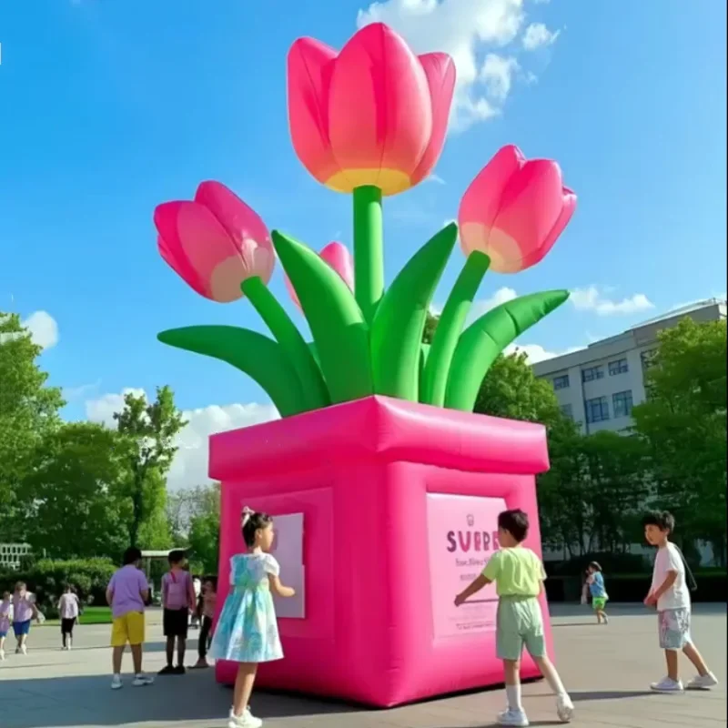 prod_6aa12e2f568a72.10358786.webp