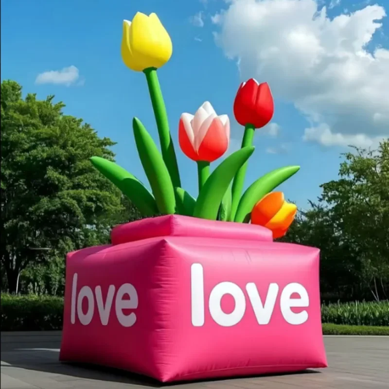 prod_6aa12e2faaff59.09192681.webp