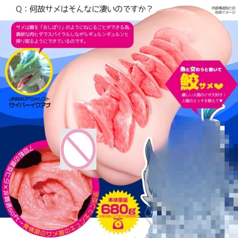 prod_6aa1346a0eeab3.52070758.webp