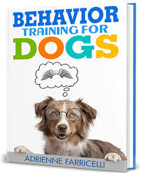 Brain Training for Dogs - Unique Dog Training Course! Easy Sell!