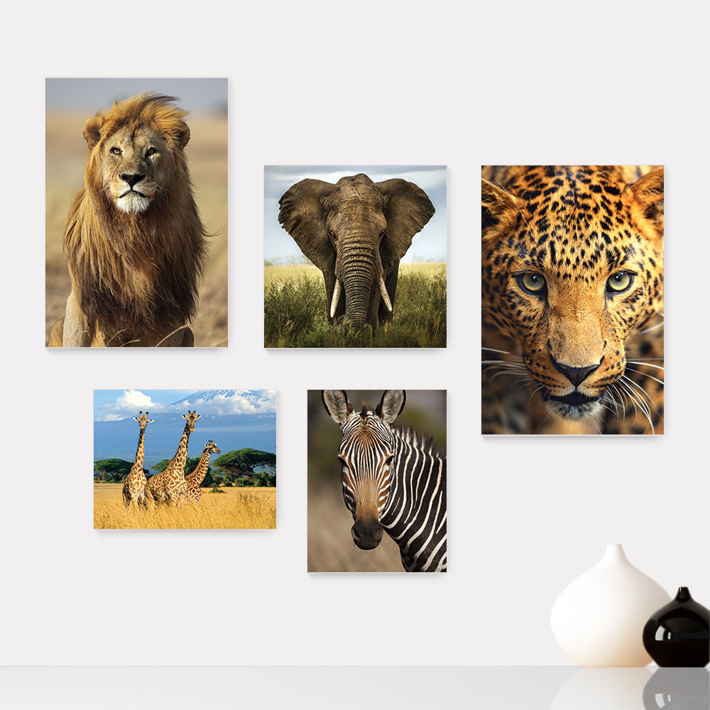 Kit 5 Quadros Decorativos Safari Animais Infantil Bebe Baby Quarto Menino Menina Escola Placas - 438ktpl5