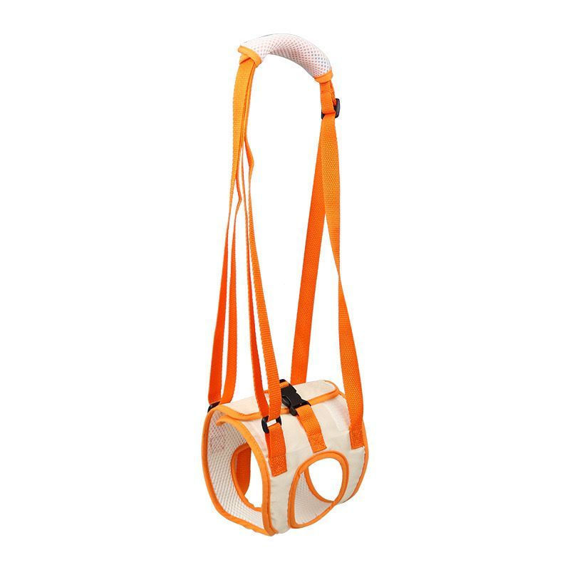 Cinto Laranja de Apoio Pet Patas Traseiras Suporte de Reabilitação para Mais Mobilidade e Conforto