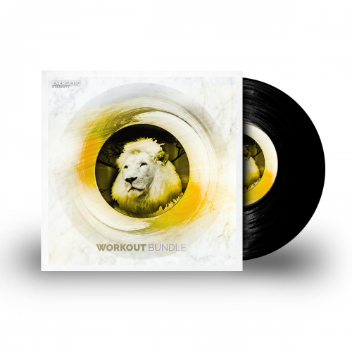 Workout Bundle – Schnellere Trainingserfolge (Bestseller)