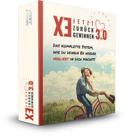 Ex zurückgewinnen 3.0 (Erfolgs-Anleitung)