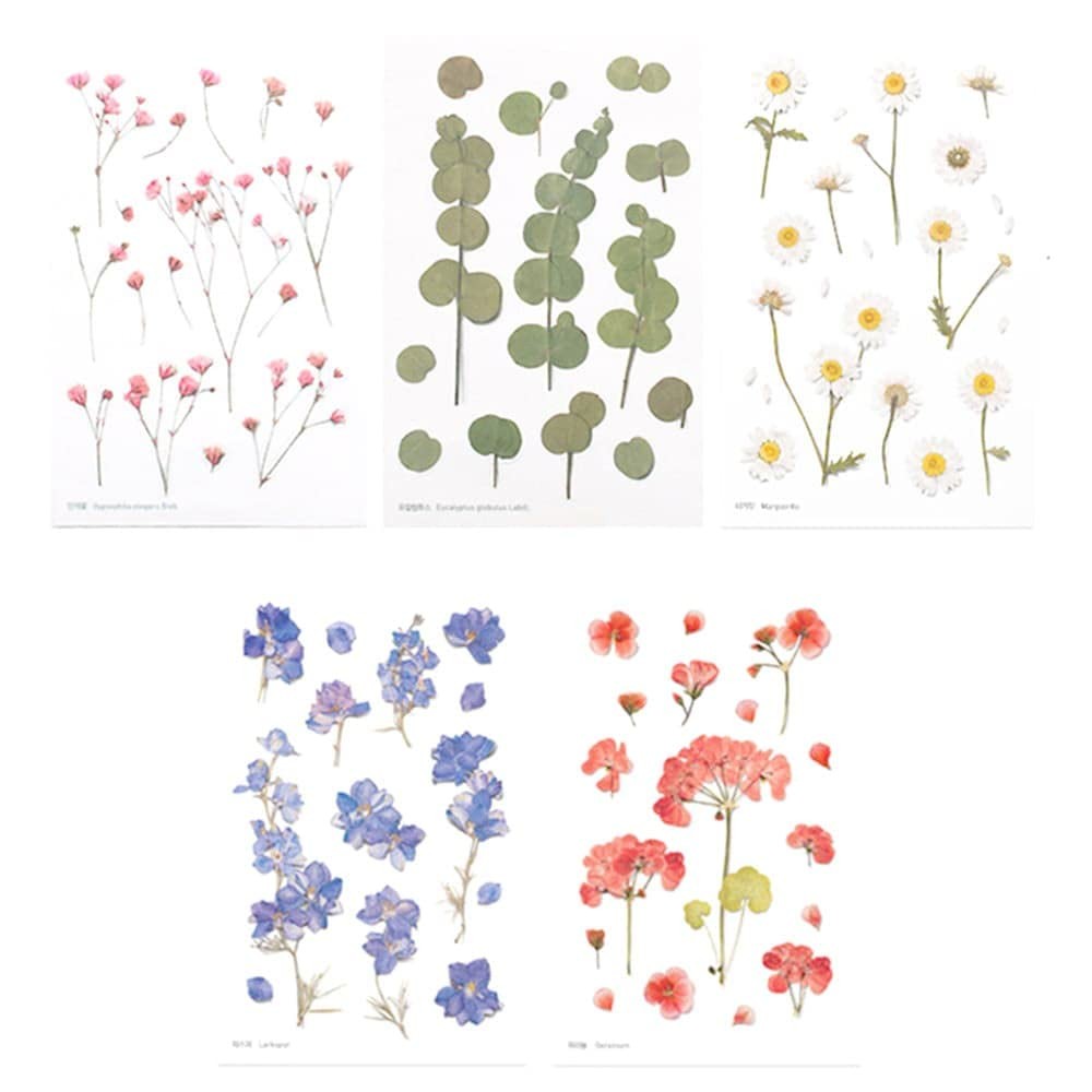 Moin Moin seal pressed flower clear transparent random 5-piece set / flowers such as maple, ginkgo, grass, clover, forge