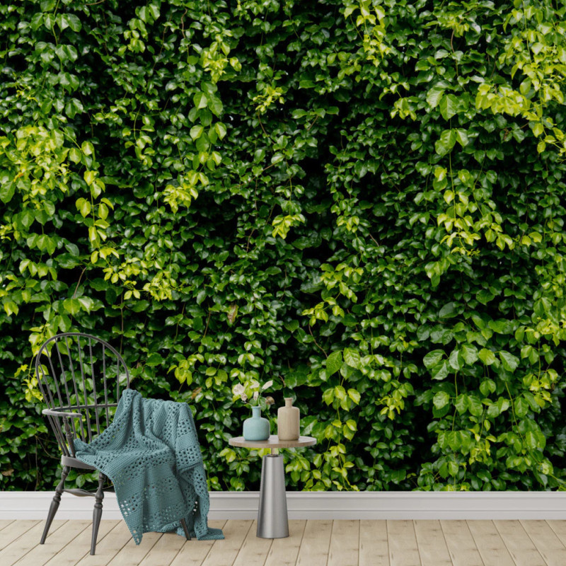 Papel de Parede Linha Studio Decor Mural Design Folhagens Tropicais Verdes – Natureza e Estilo Natural