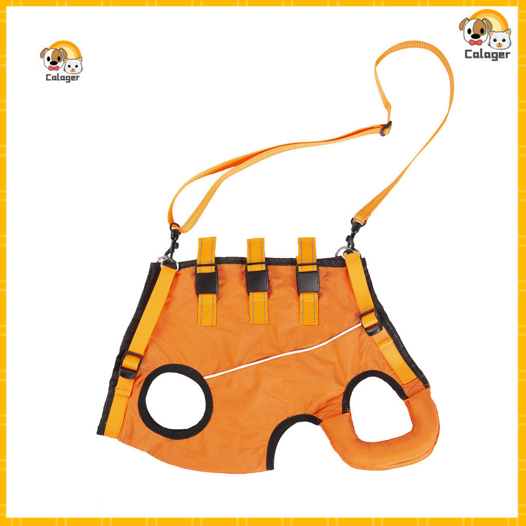 Professional Assistance for Disabled Dogs Comfortable Dog Assistive Suit Adjustable Lift Harness Breathable Support Slin