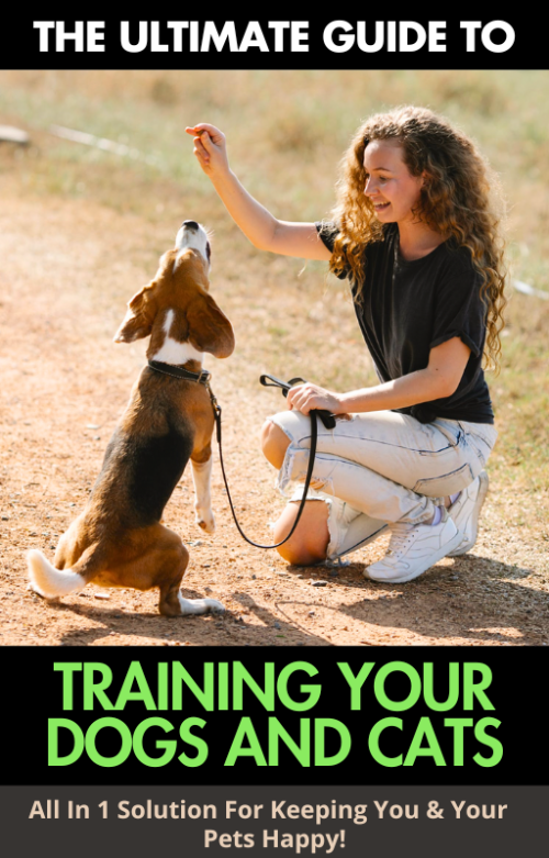 Training Your Dogs And Cats (Get 95% Commission/ Sale)