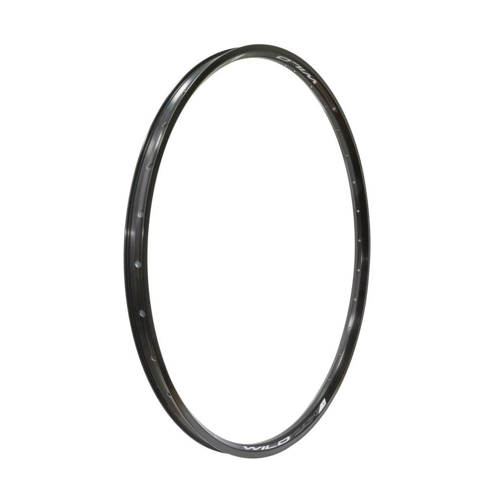 ARO ABSOLUTE WILD DISC 29