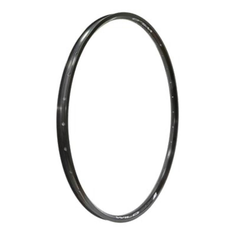 Aro 29 Absolute Wild tl disc tubeless 32 furos