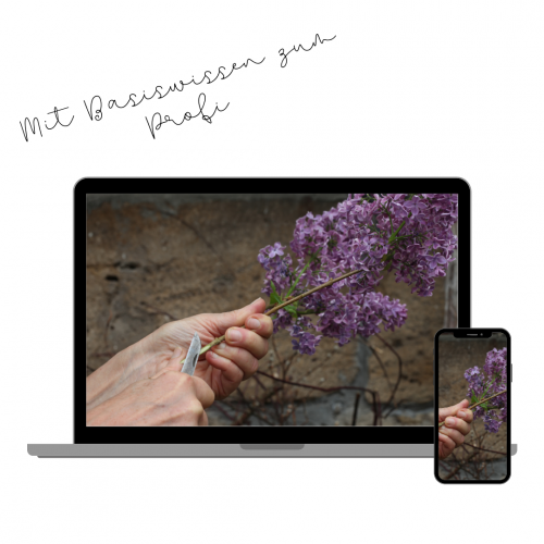 1x1 Floristik - Mit Basiswissen zum Profi