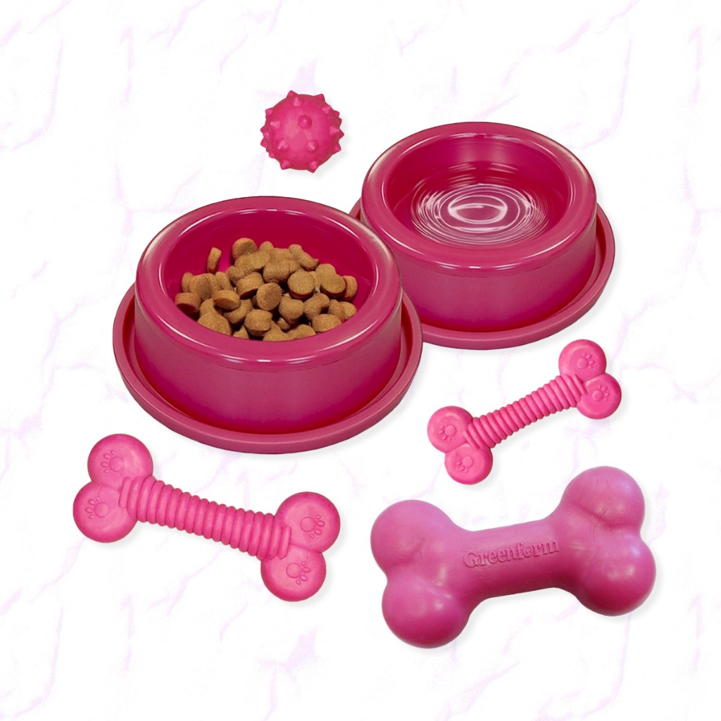 Kit Pet Multifuncional com Tigelas + Brinquedos | Tudo p/ o Bem-Estar do seu Cão
