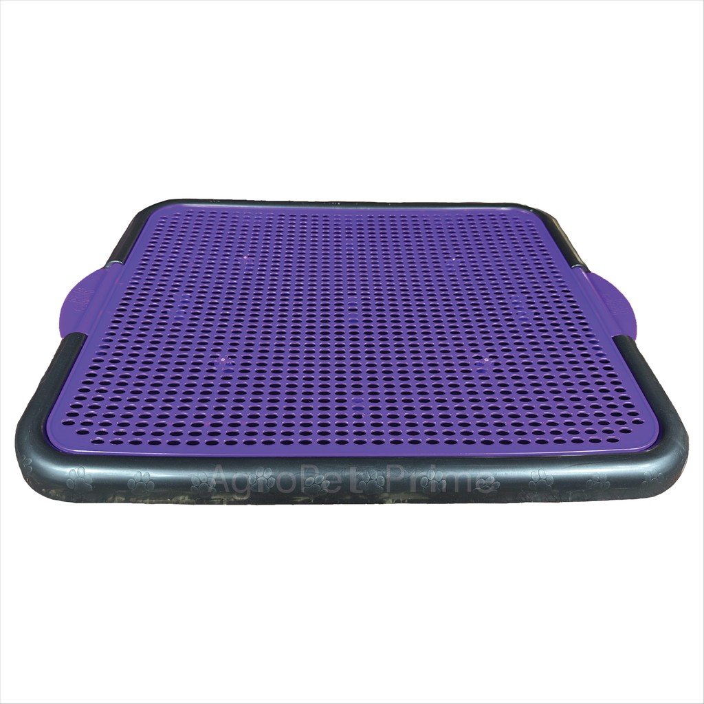 Bandeja Sanitária Para Cães Pipi Center Roxo Neon