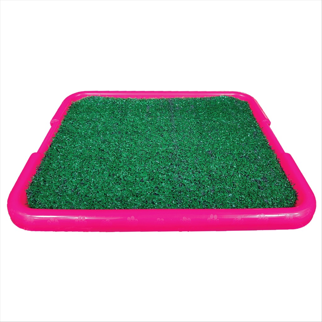 Bandeja Sanitária Para Cães Pipi Center Rosa Neon Garden