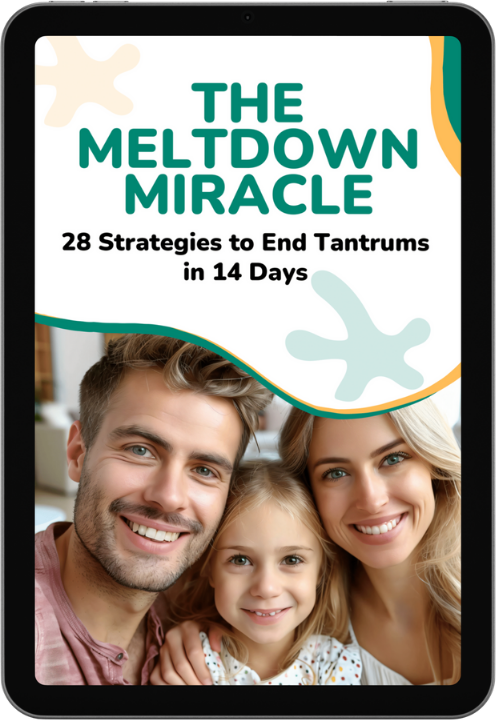 The Meltdown Miracle - eBook