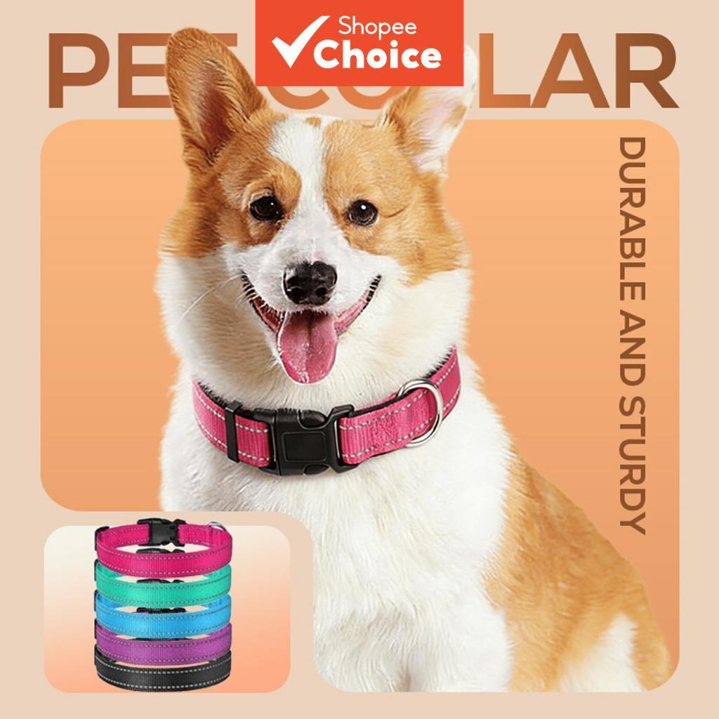 Coleira de nylon refletiva de segurança ajustável com fivela, adequada para cães pequenos, médios e grandes