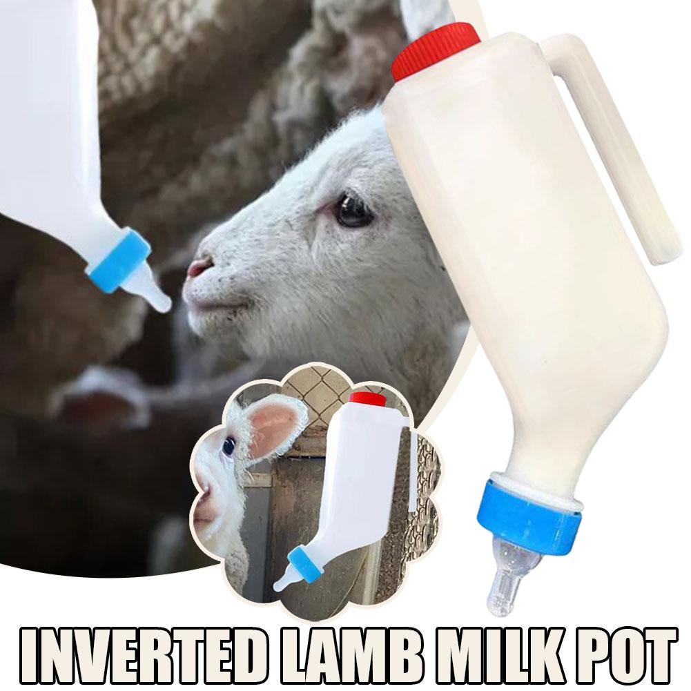 Alimentador De Leite Para Animais De Estimação Pendurado , Porco , Cachorro , Ovelha , Gato E Cordeiro Com Bico , Garraf
