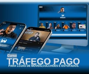 GESTOR ADS DIRETO AO PONTO