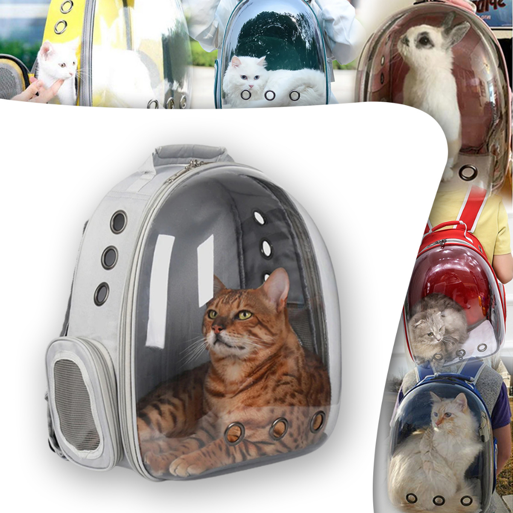 Mochila Bolsa Pet Vet Visão Panorâmica Transporte Com Visor Transparente Gato Cachorro Viagem Passeio