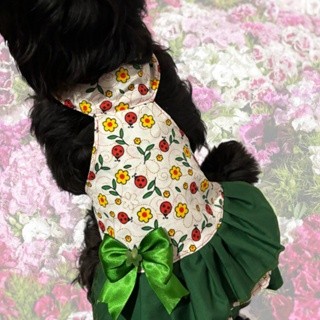 Vestido Verde florido Pet para femea - Cachorro ou Gato - Eventos ou Passeio Envio imediato