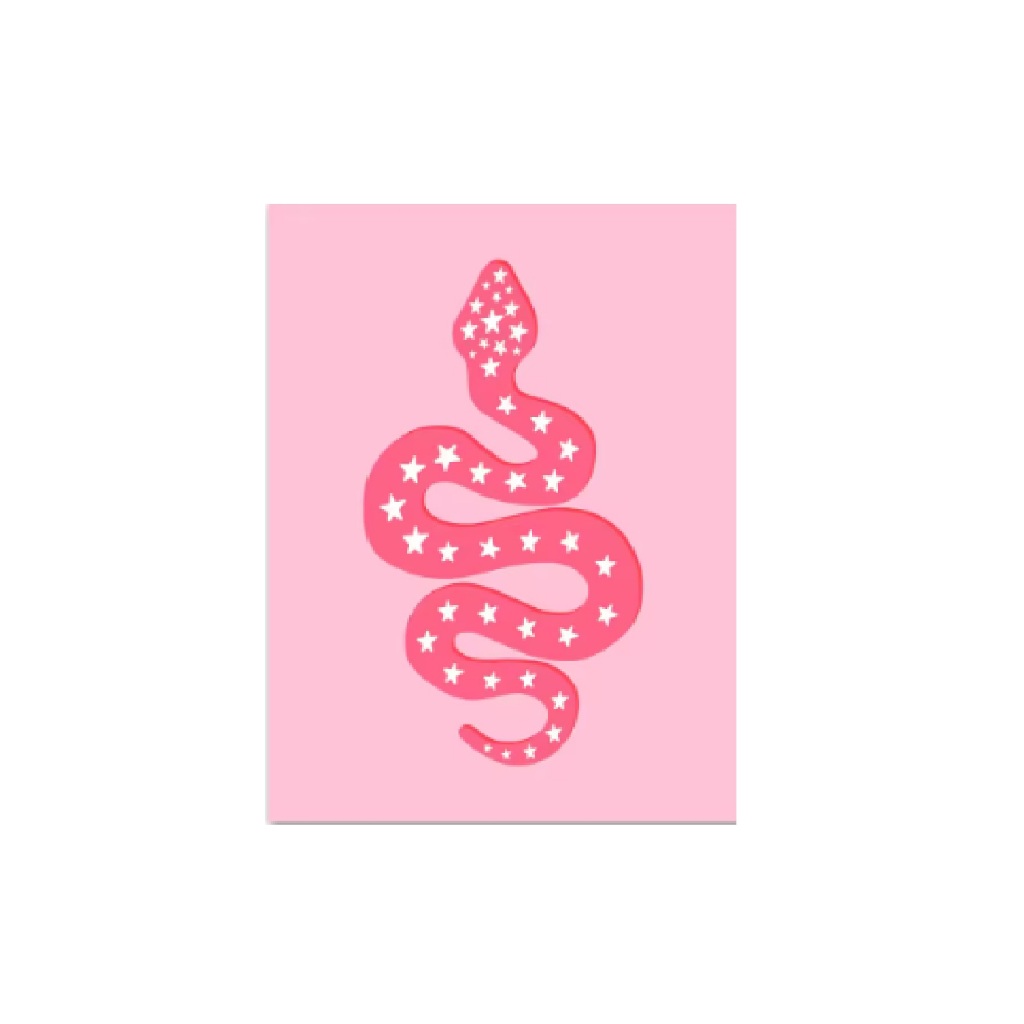 Quadro decorativo Leopardo crânio cobra coração estrela auto amor rosa moda (1 peça)