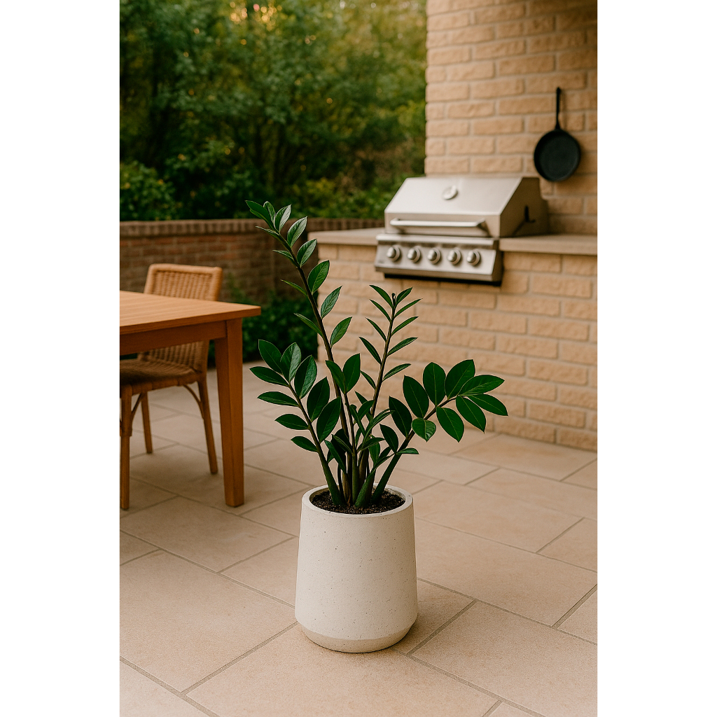 BAUZ Vaso Cachepot Decorativo em CImento Enfeite Sala Quarto 25cm Vaso Grande Para Plantas Concreto