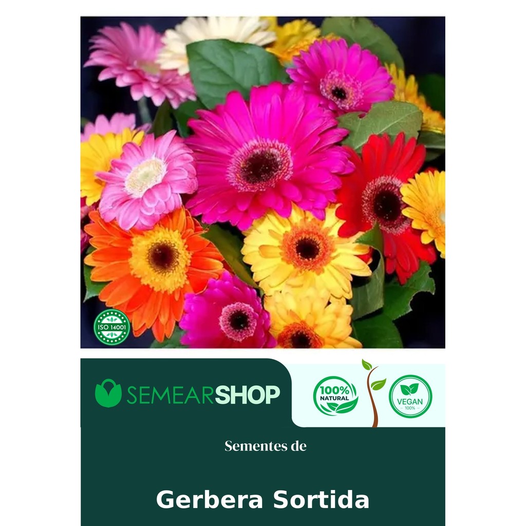 Sementes de Gerberas Sortidas Originais
