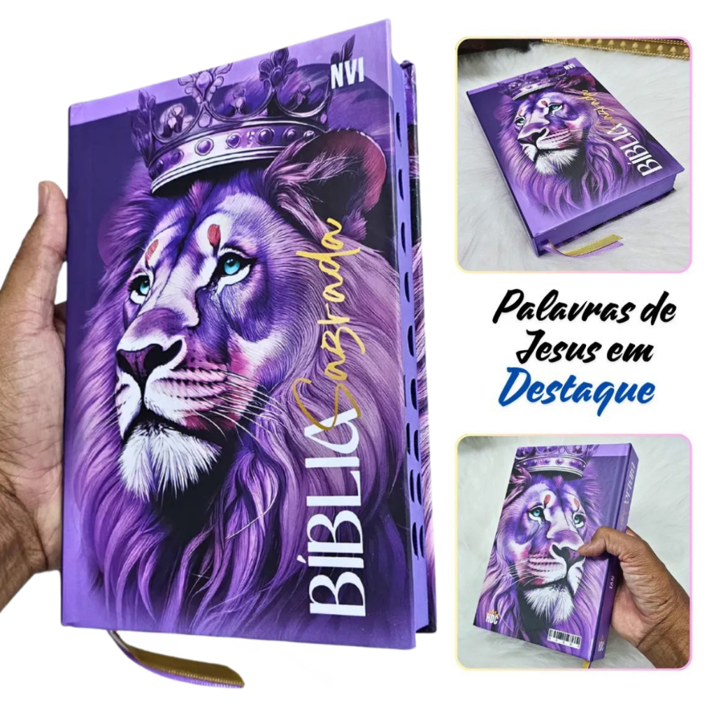 Biblia Sagrada Nvi Roxa Palavras de Jesus em Destaque Capa Dura e Índice