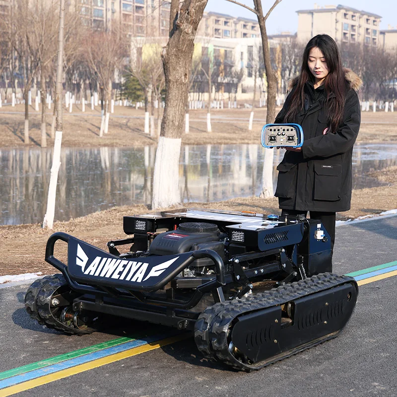 Customized multifunctional lawn mower, hot selling item in Chinese factory, affordable price, durable machine