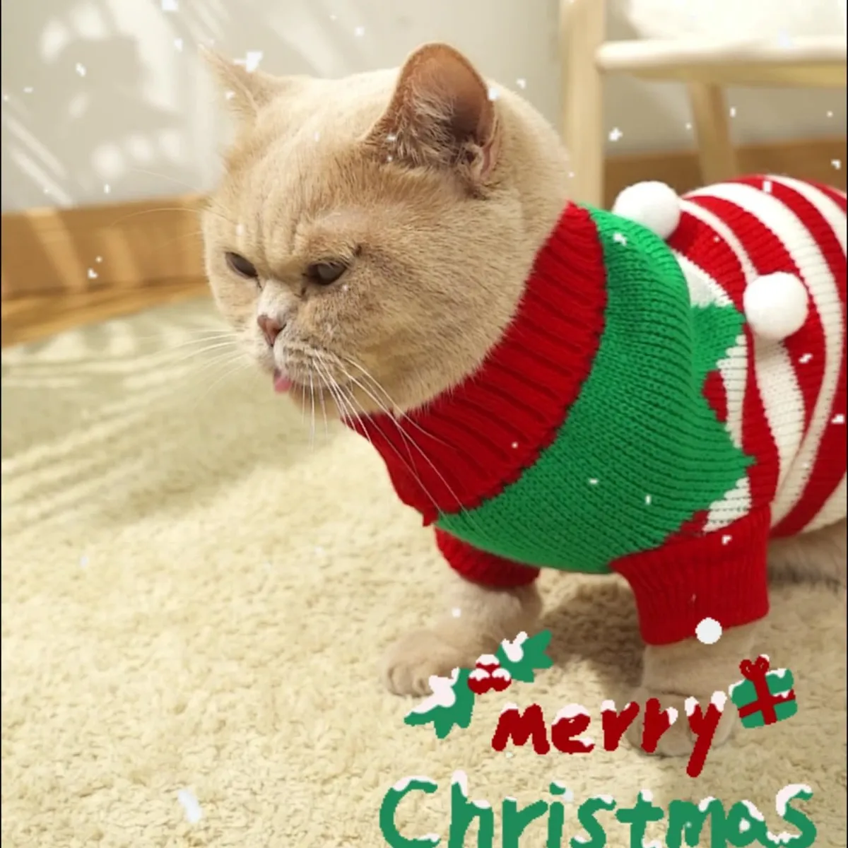 prod_6aa24efb9efc83.55754583.webp