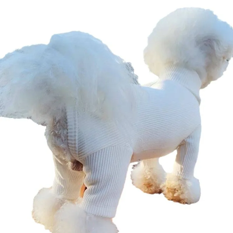 prod_6aa24f263a21e1.65218795.webp