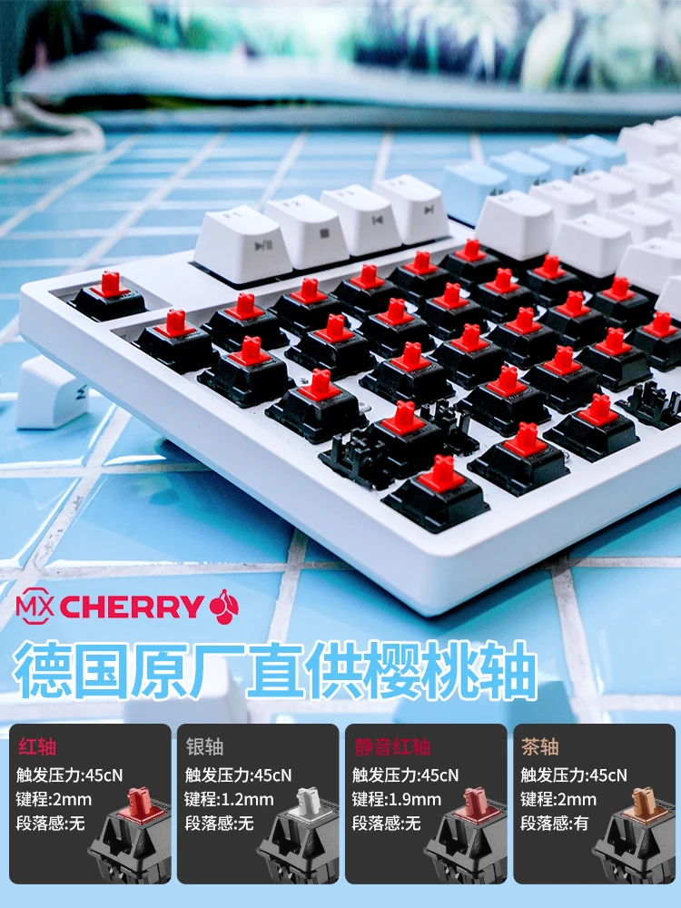 prod_6aa24fd406eb61.17196691.webp