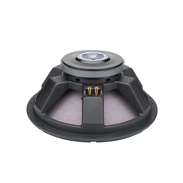 Professional 18 Inch Subwoofer Speaker RMS 400-800 Watt Power Amplified Speaker For Bass Audio Speaker Sound System