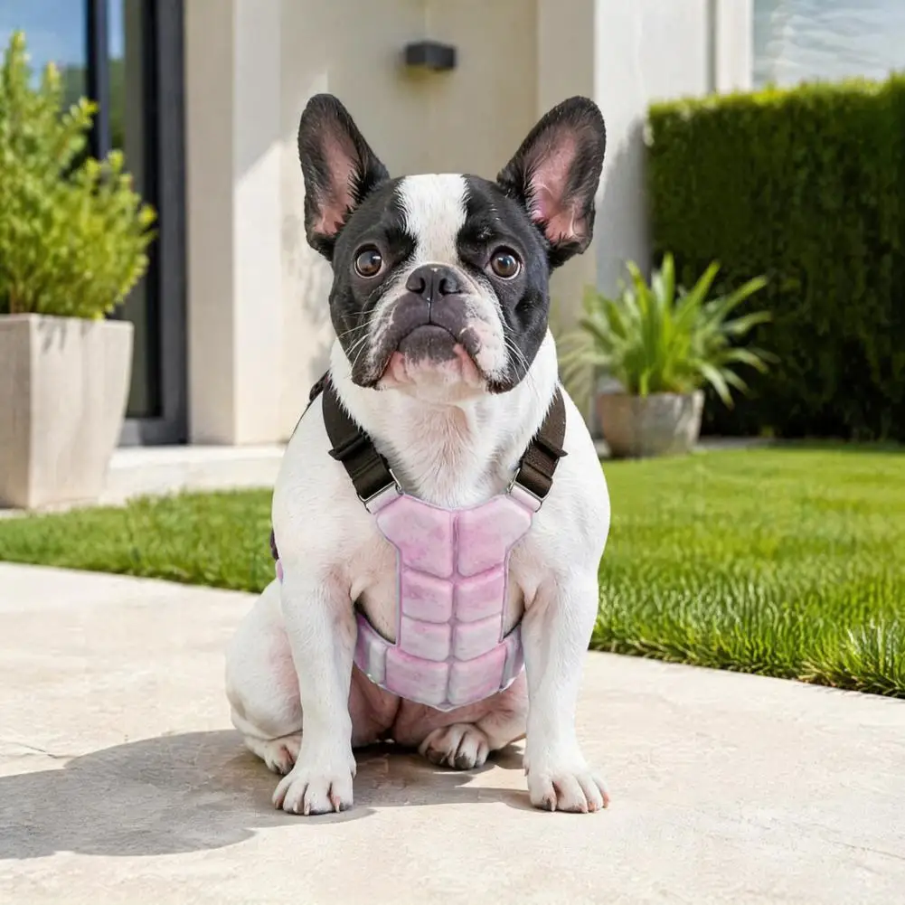 prod_6aa2746a007e00.09206797.webp