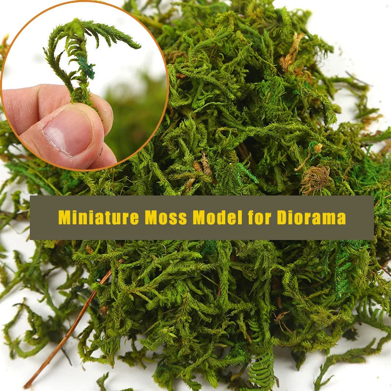 DIY Model Making Artificial Moss Lichen Simulation Fake Green Plants Park Decoration Micro Landscape for Diorama