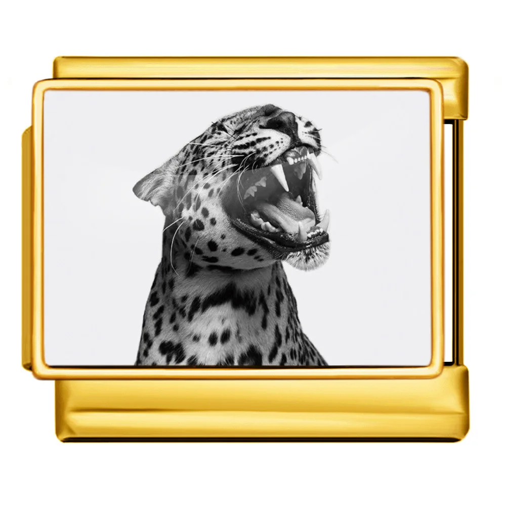 prod_6aa2bc666e0c48.90393363.webp