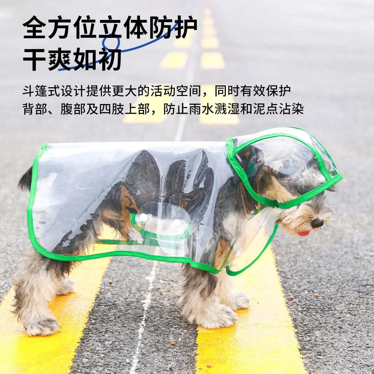 prod_6aa2bdb05a94c7.95512453.webp