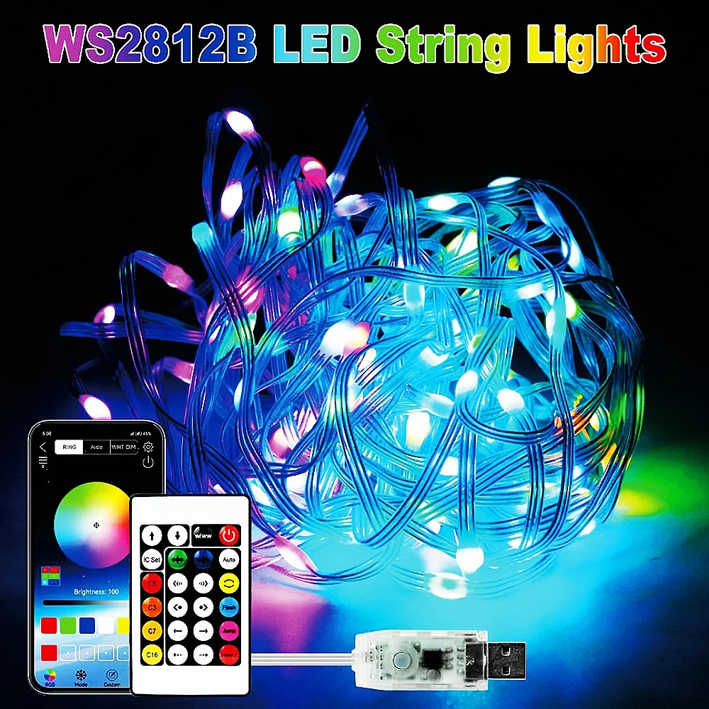USB LED Smart App RGBIC Fairy String Lights Strip WS2812B 5V Waterproof With 24Keys Remote Bluetooth Music Control 5M 10M 15M