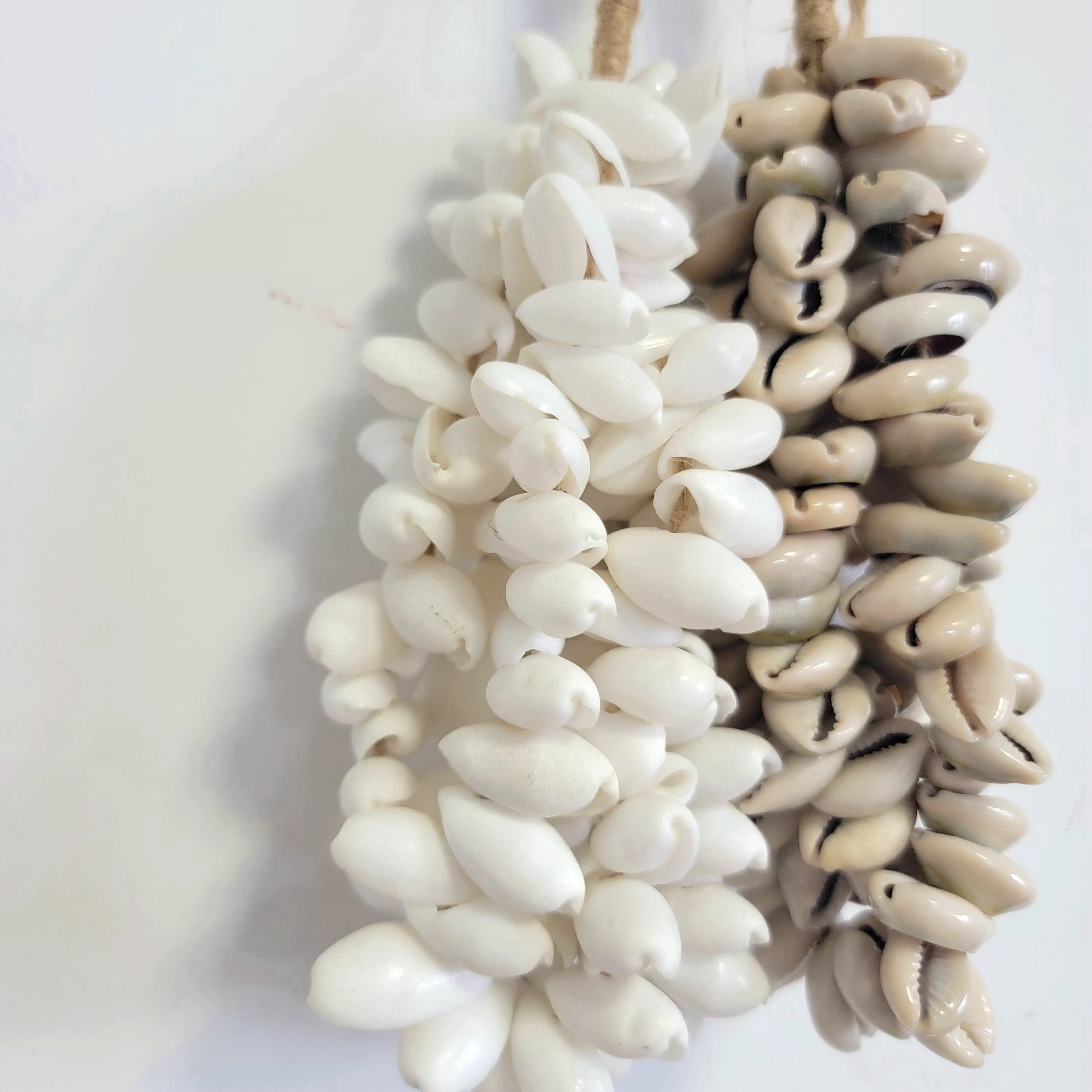 prod_6aa2d27da37458.67741378.webp