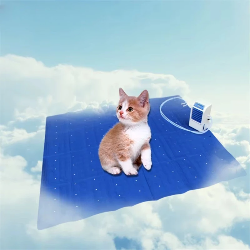 prod_6aa2f443e7e650.89236068.webp