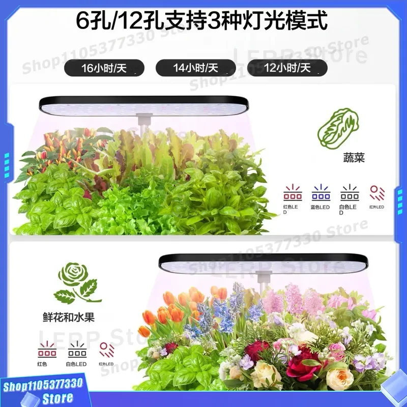 prod_6aa30147d65383.19623865.webp