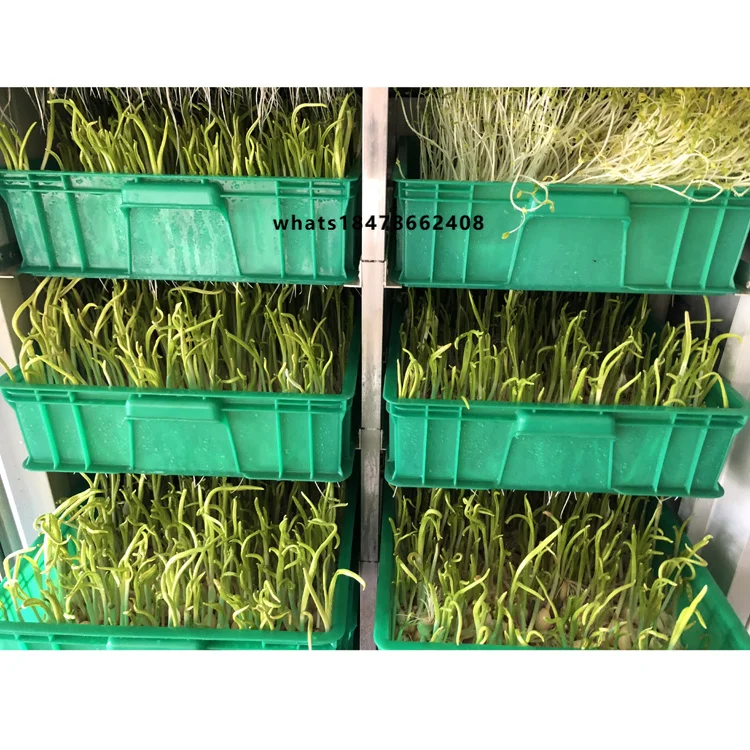 Automatic Growing Cucumbers Seed to Fruits Seedling Planting Machine
